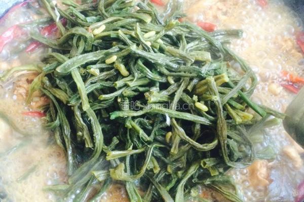 小鸡炖干豆角的做法图解7