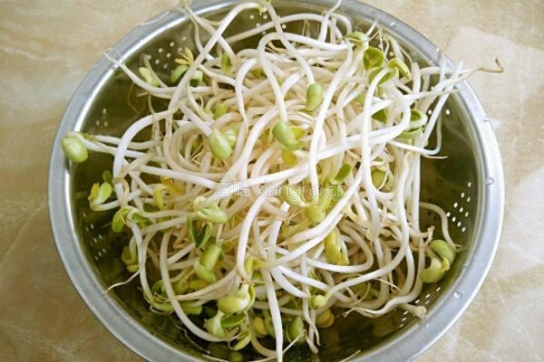 黄豆芽炒粉条的做法图解2