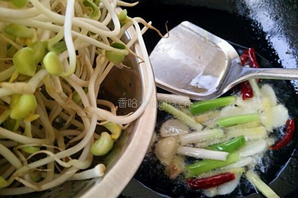 黄豆芽炒粉条的做法图解5