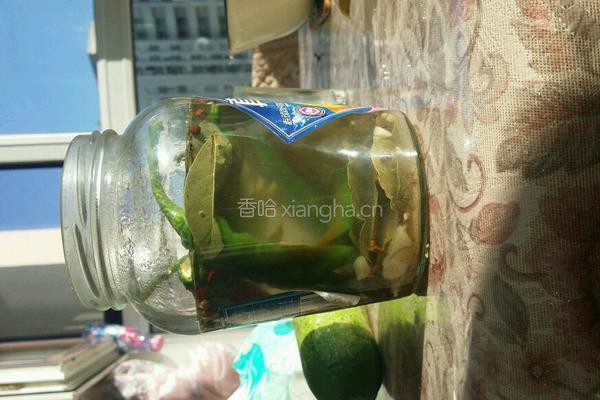 酸黄瓜的做法图解3