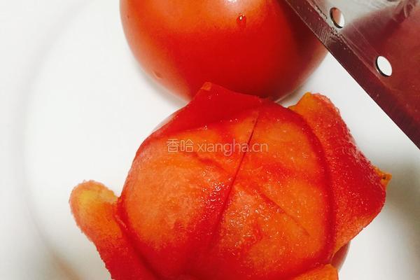 罗宋汤的做法图解4