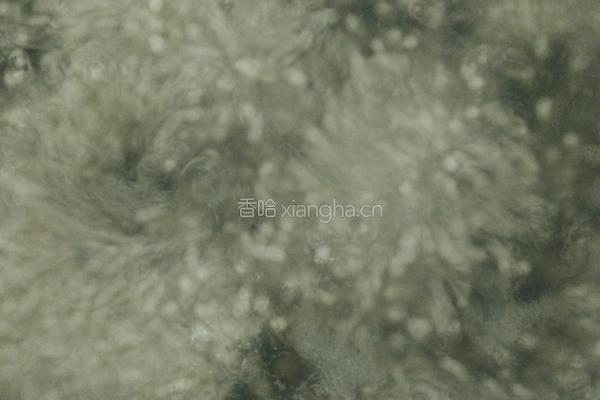 牛奶西米露的做法图解1