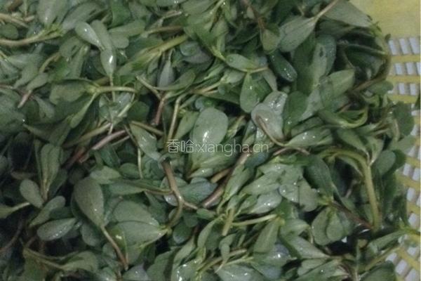 烙野菜饼的做法图解1