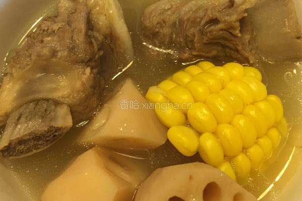 莲藕排骨汤的做法图解7