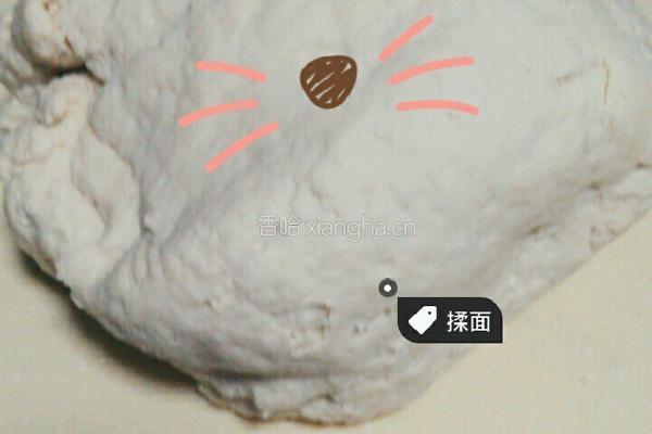 香葱猪肉手工水饺的做法图解5