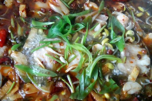 酸菜鱼的做法图解5