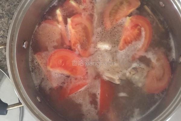 番茄鲈鱼汤的做法图解5