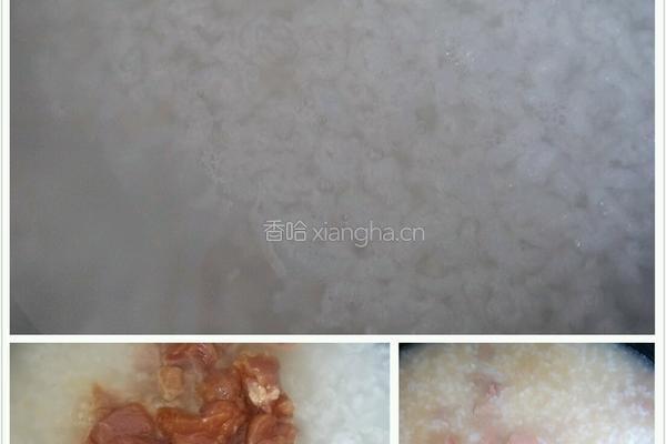 瘦肉粥的做法图解6
