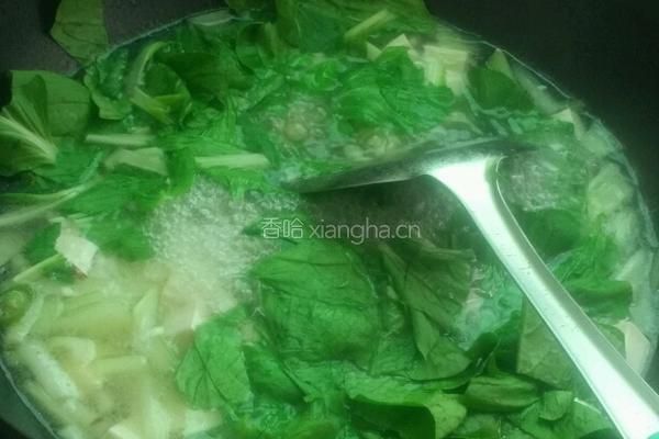 小白菜豆腐汤的做法图解5
