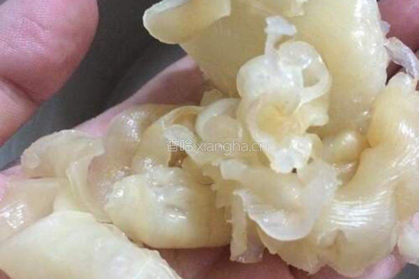 鱼胶（花胶）去腥方式的做法图解4
