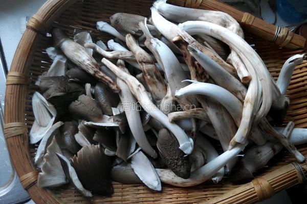 山珍鸡枞汤的做法图解1