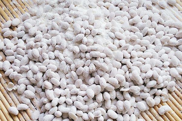 黄豆做酱捂豆篇的做法图解6