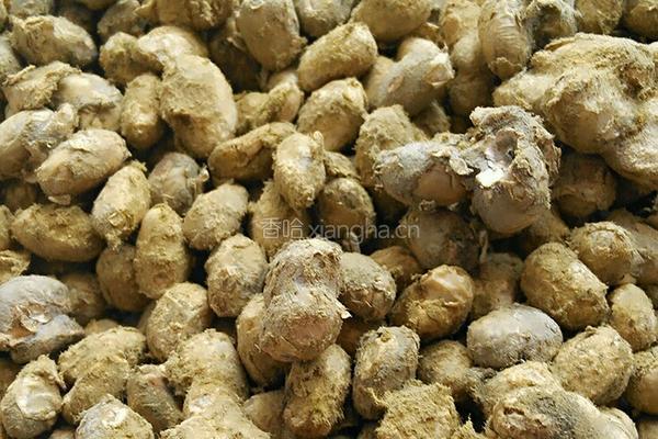 黄豆做酱捂豆篇的做法图解14