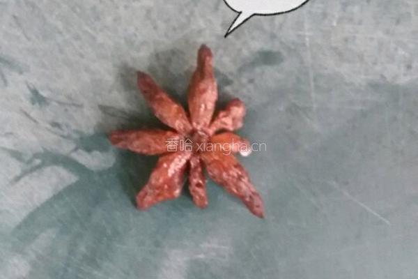 白萝排骨的做法图解2