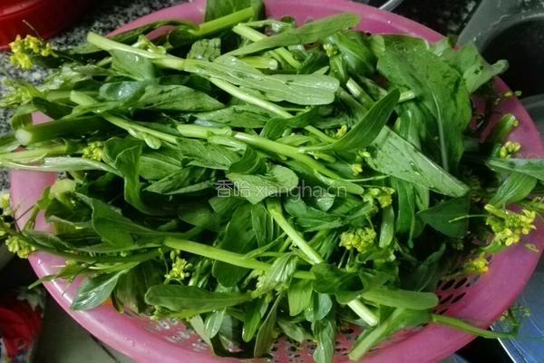 瘦肉炒菜心的做法图解1