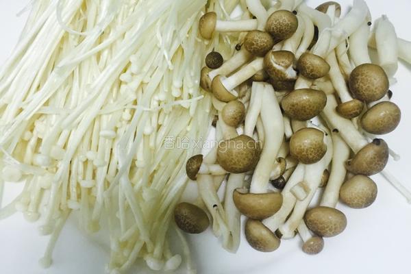 菌菇鲜虾大酱汤的做法图解3
