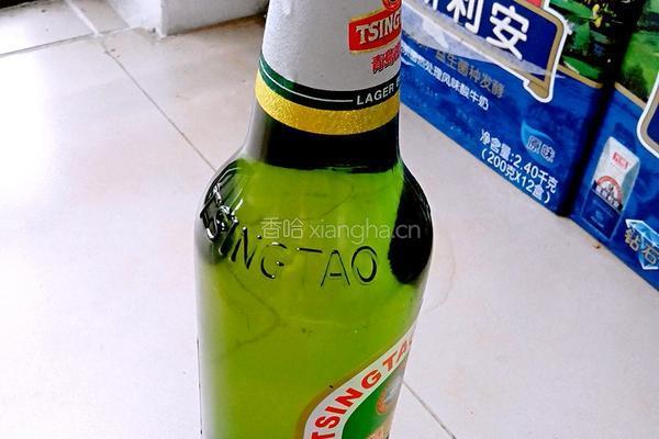 啤酒炖鱼的做法图解3