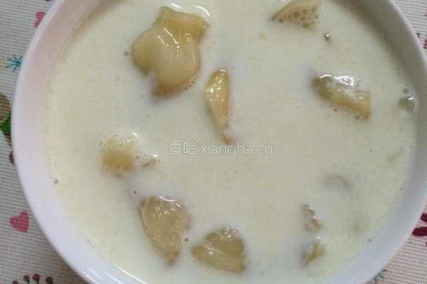 杏汁花胶牛奶丰胸汤的做法图解6