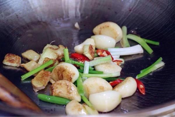 三杯鸡的做法图解7