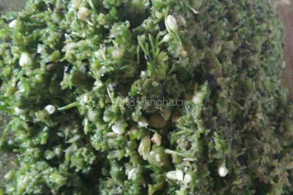 韭菜花酱的做法图解2