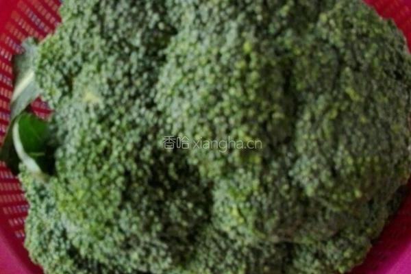 蒜蓉西兰花的做法图解1