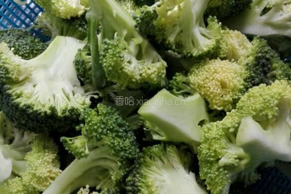 蒜蓉西兰花的做法图解2
