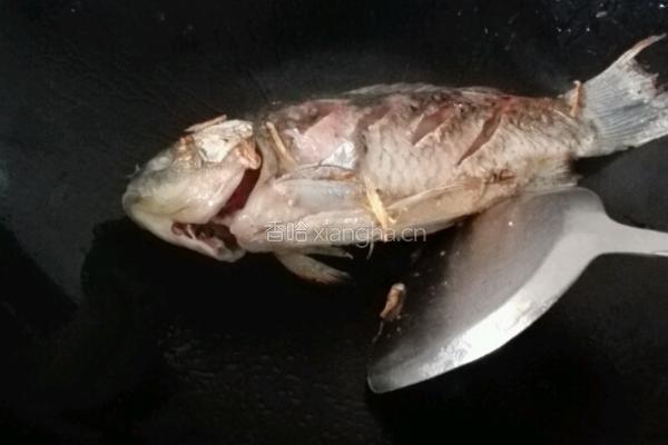 白瓜鲫鱼汤的做法图解4