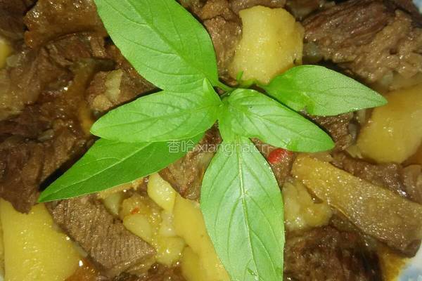 士豆烧中腩