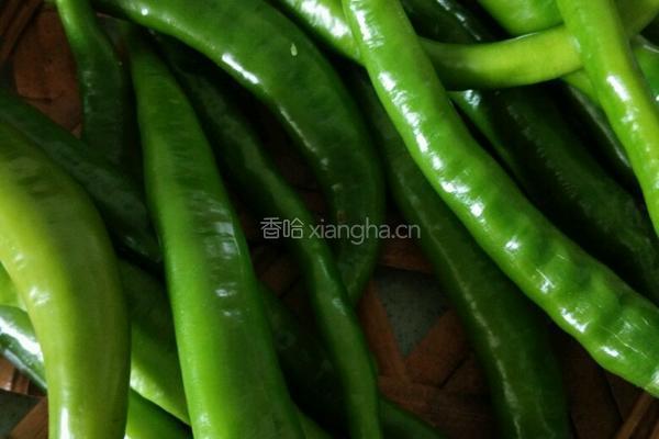 简单版辣椒豆瓣酱的做法图解1