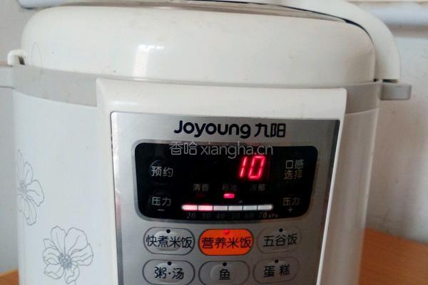 四角粽子的做法图解11