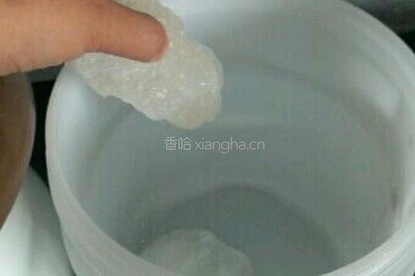 苦瓜酵素的做法图解3