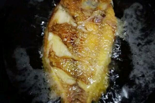 香炸糖醋鲤鱼的做法图解3