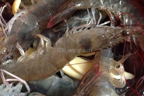 白勺虾的做法图解1
