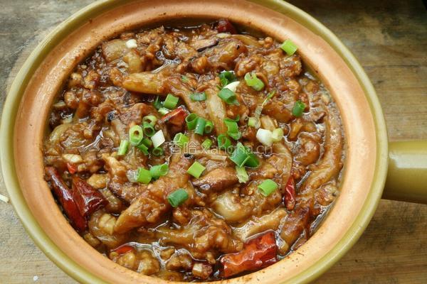 红烧茄子煲――JIARU 的做法图解8