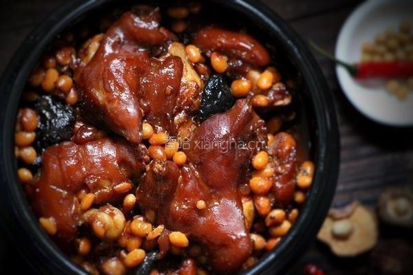 黄豆焖猪脚的做法图解10