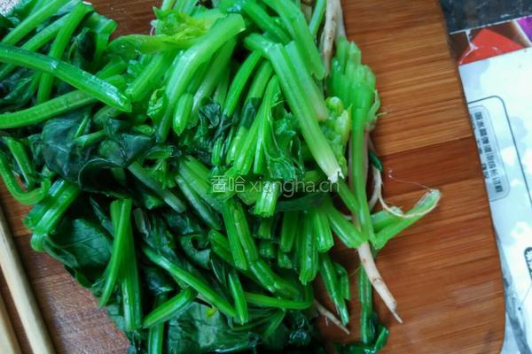 炒波菜的做法图解2