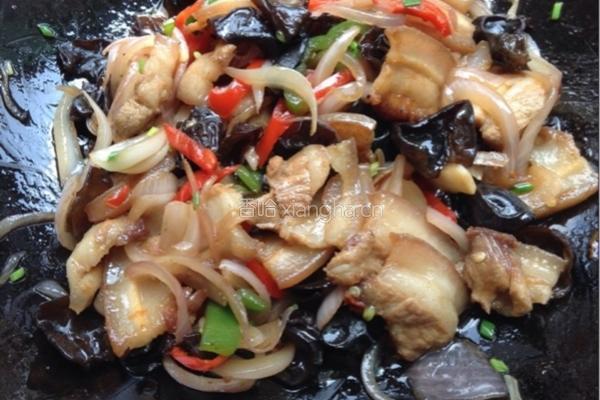 洋葱木耳炒肉的做法图解6