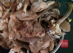 东北蘑菇大辣椒肉饺子的做法图解1