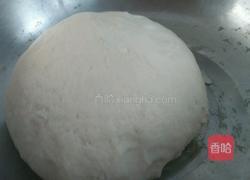 东北蘑菇大辣椒肉饺子的做法图解4