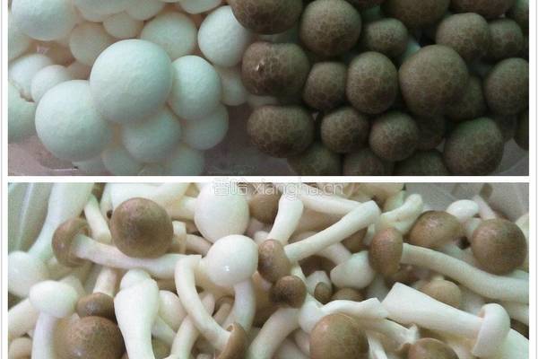 虾球炒双姑的做法图解1
