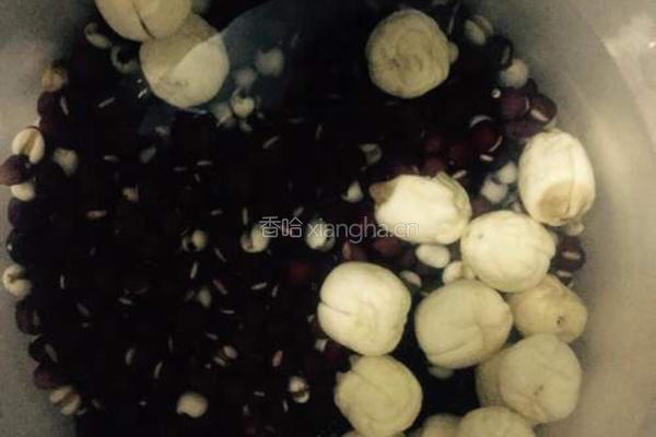 红豆薏米莲子糊的做法图解1