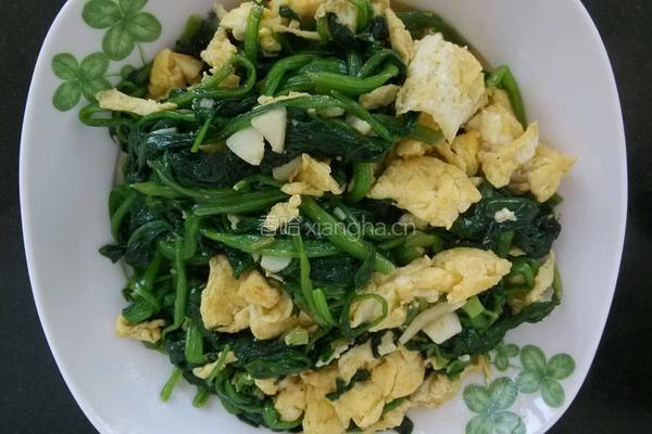 胡油菠菜炒蛋的做法图解14