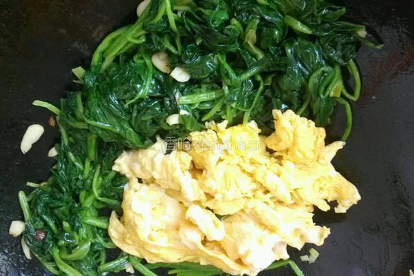 胡油菠菜炒蛋的做法图解13