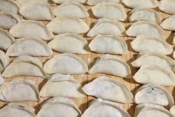 猪肉西葫芦韭菜饺子的做法图解7
