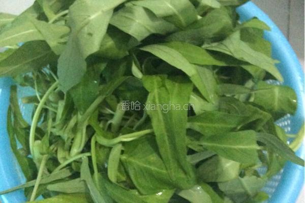 蒜泥空心菜的做法图解1