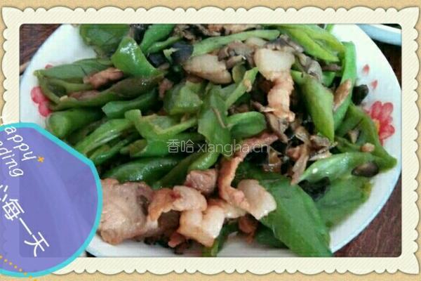 肉炒尖椒蘑菇的做法图解10