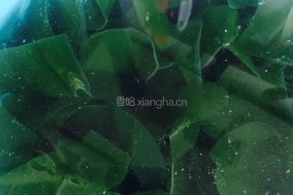 家常海带烧豆芽的做法图解2