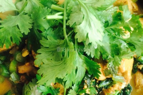 肉丝菜苔烧豆腐的做法图解12