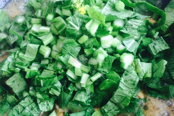 肉丝菜苔烧豆腐的做法图解10