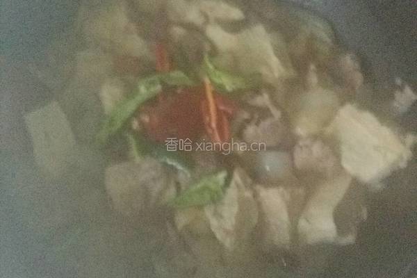 牛肉炖冻豆腐的做法图解9